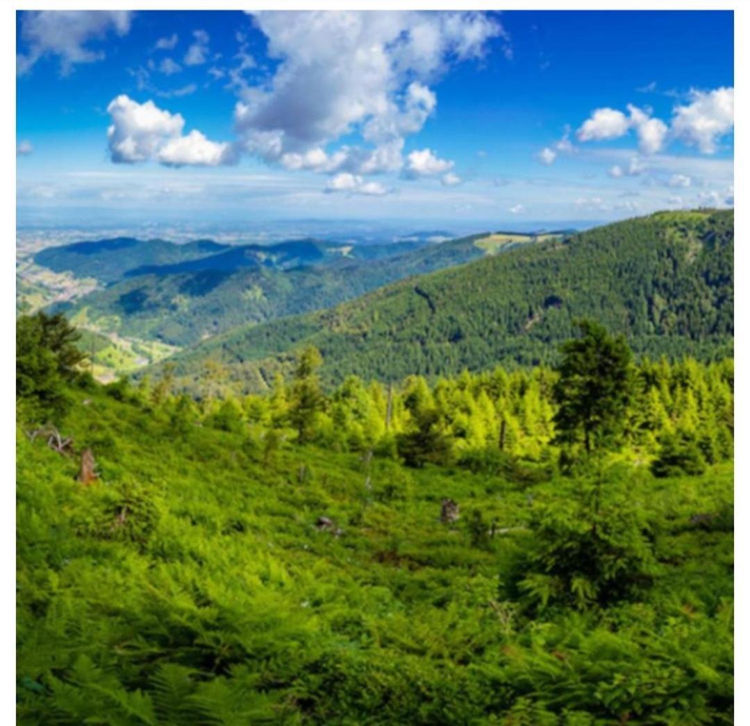 Naturblick Байерсброн Екстериор снимка
